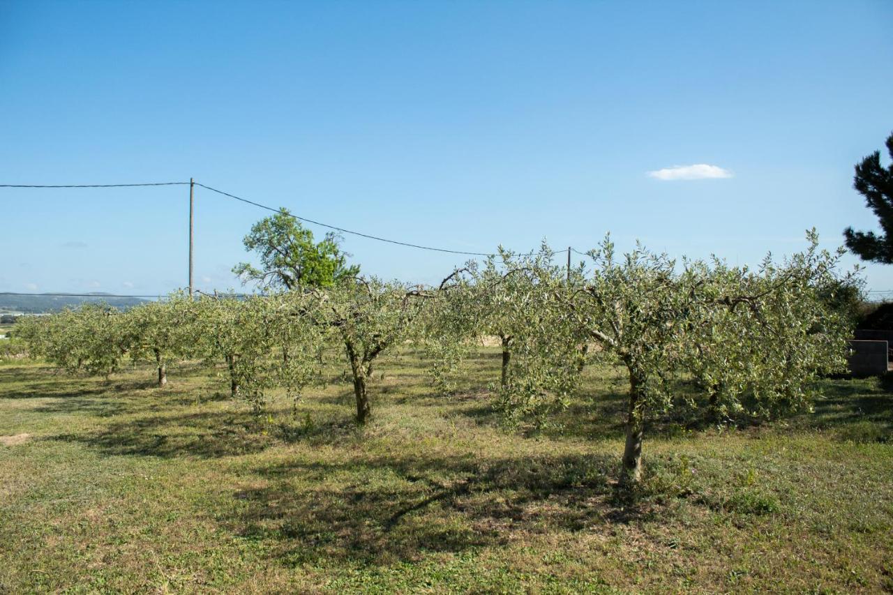 Sant Marcal Romegosa Benestarヴィラ エクステリア 写真