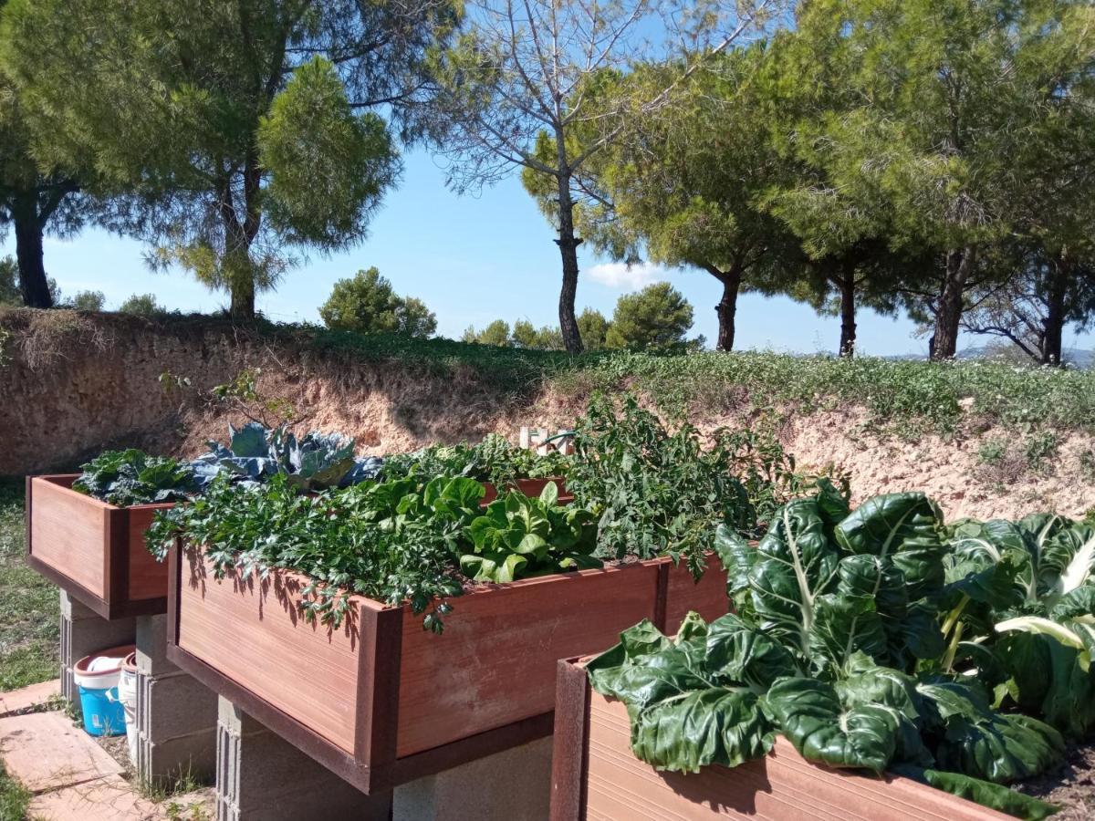 Sant Marcal Romegosa Benestarヴィラ エクステリア 写真
