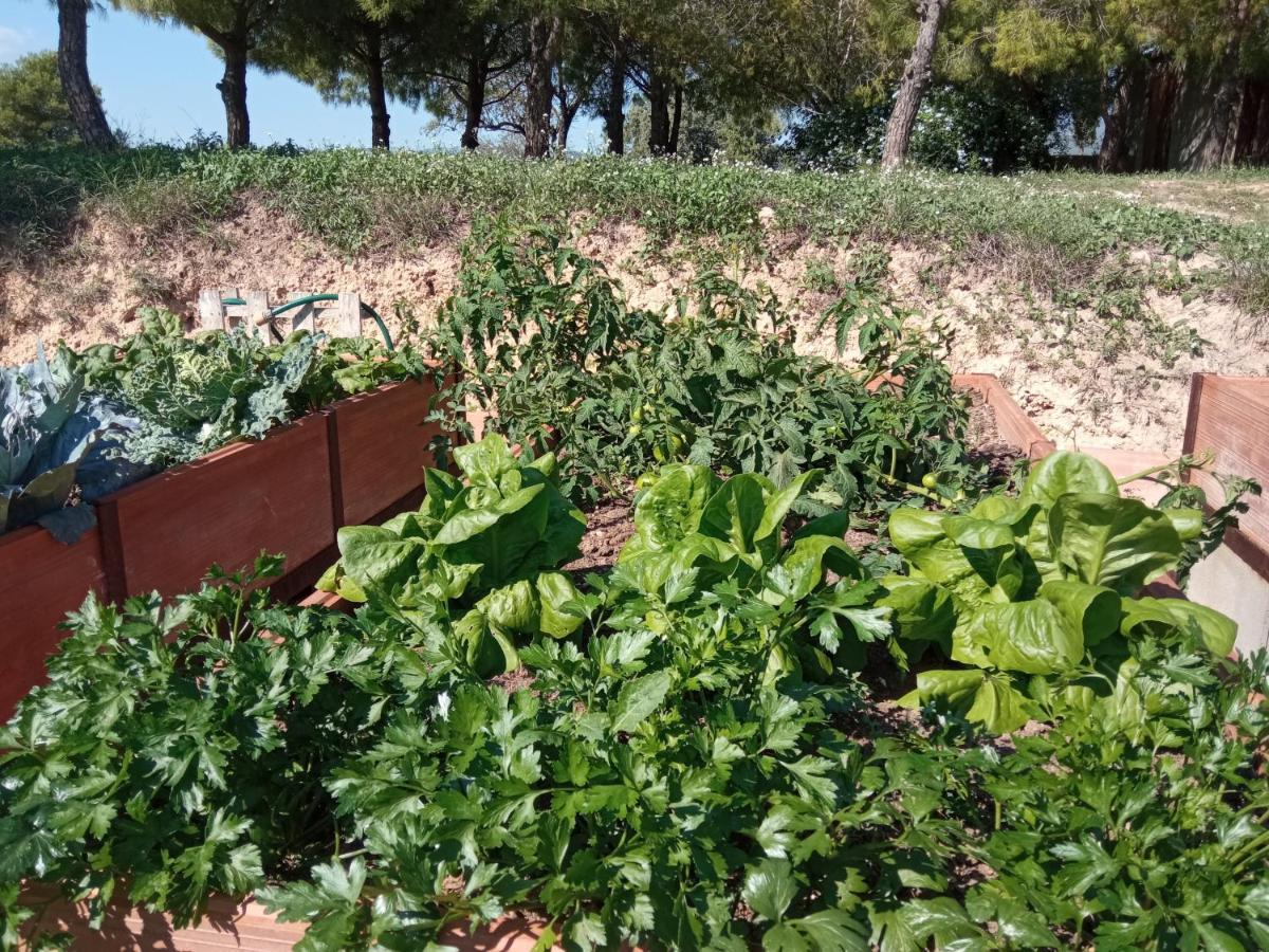 Sant Marcal Romegosa Benestarヴィラ エクステリア 写真